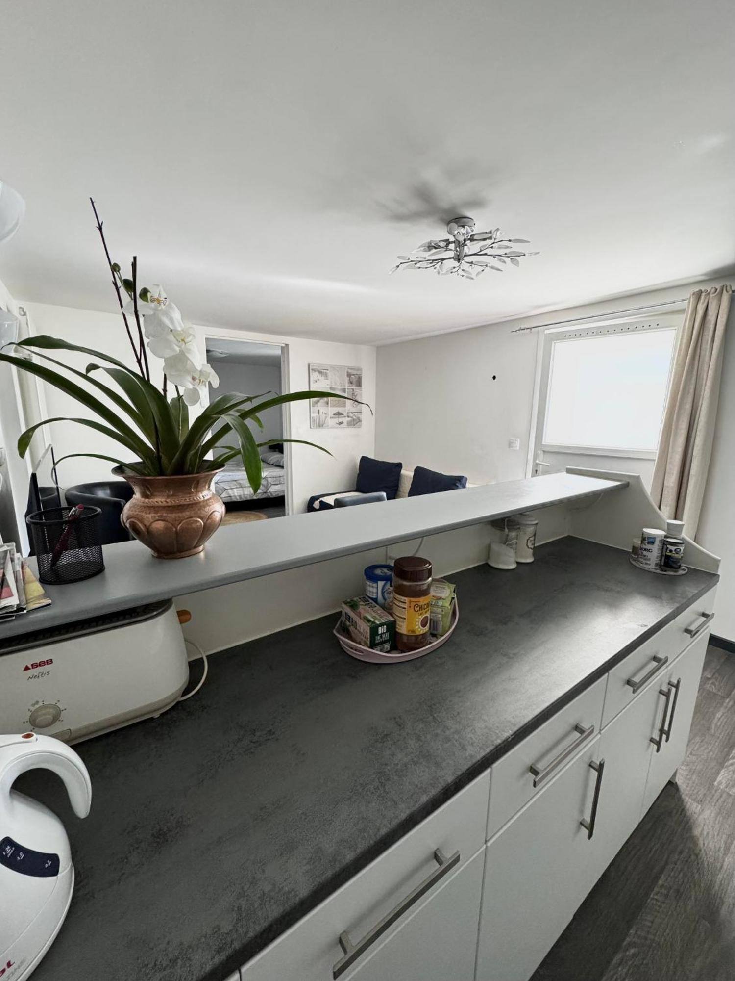 Appartement Detox Au Pied Du Semnoz セーノッド エクステリア 写真